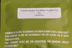 Sell: White Truffle Cut S1