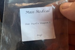 Vente: Star Pupil x Weapon X