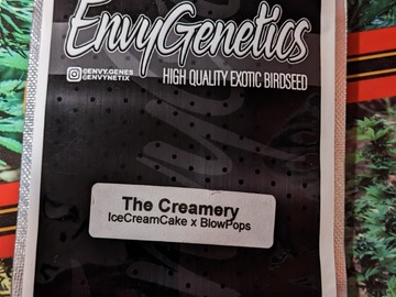 Vente: The Creamery -Envy Genetics