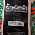 Sell: The Creamery -Envy Genetics