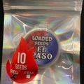 Vente: Loaded seeds - El Paso