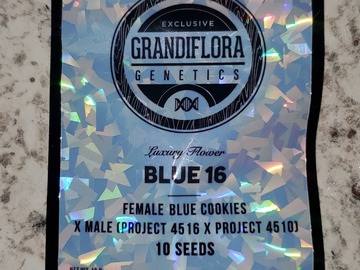 Vente: Grandiflora Blue 16