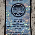 Sell: Grandiflora Blue 16