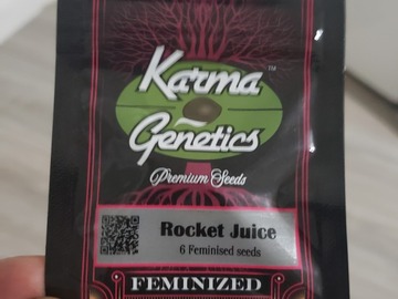 Vente: Rocket juice by karma genetics feminized new sealed