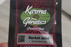 Vente: Rocket juice by karma genetics feminized new sealed