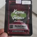 Sell: Rocket juice by karma genetics feminized new sealed