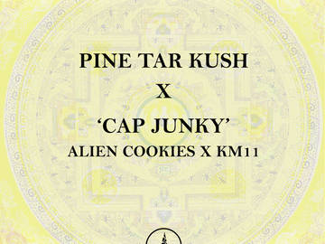 Vente: Pine Tar Kush x Cap Junky - Limited Release