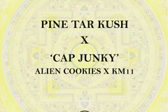 Sell: Pine Tar Kush x Cap Junky - Limited Release