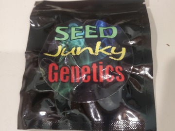 Sell: Wedding Cake Bx1 Seed Junky