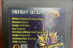 Sell: Midnight Delight from Exotic Genetix