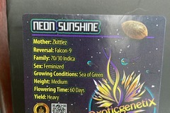 Vente: Neon Sunshine from Exotic Genetix