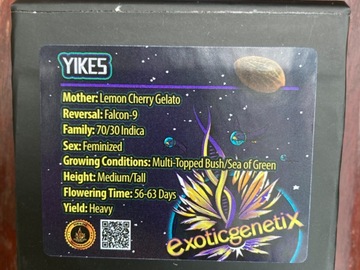 Sell: Yikes from Exotic Genetix