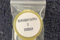 Sell: Hawaiian Sativa x Durban
