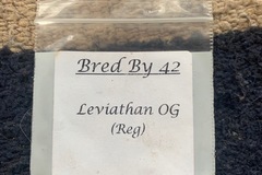 Sell: Leviathan OG