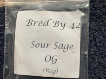 Venta: Sour Sage OG
