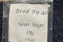 Sell: Sour Sage OG