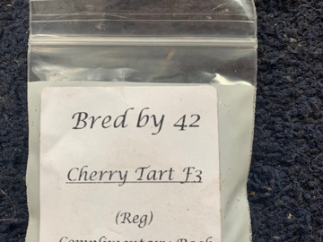 Cherry Tart F2