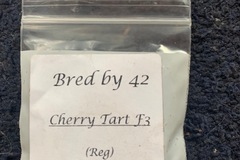 Sell: Cherry Tart F2
