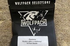 Venta: WolfPack Selections - Plantainz (Runtz x (BCC x Jealousy)
