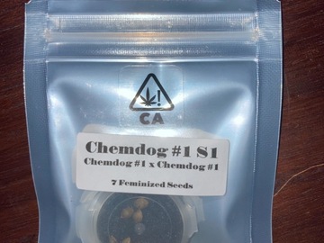 Vente: Chemdog #1 S1 from CSI Humboldt