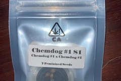 Vente: Chemdog #1 S1 from CSI Humboldt
