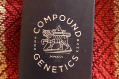 Sell: DOUBLE STACK ( COMPOUND GENETICS )