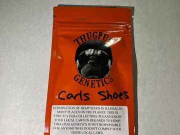Venta: Thug Pug Genetics - Carls Shoes [Romberry x SophisticatedLady]