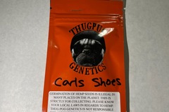 Vente: Thug Pug Genetics - Carls Shoes [Romberry x SophisticatedLady]