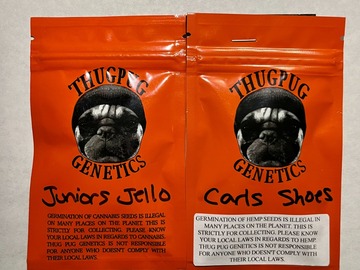 Vente: Thug Pug Genetics - Double Pack