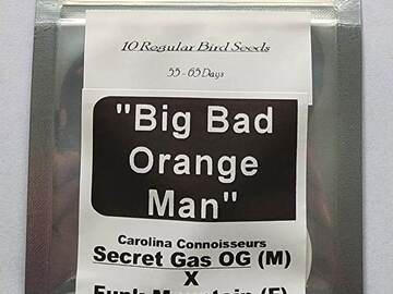 Vente: Big Bad Orange Man ~ Funk Mountain x X Secret Gas OG 10 Regs