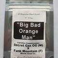 Sell: Big Bad Orange Man ~ Funk Mountain x X Secret Gas OG 10 Regs