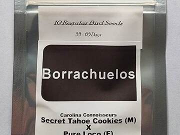 Venta: Borrachuelos ~ Pure Loco X Secret Tahoe Cookies