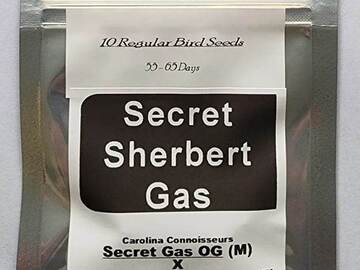 Vente: Secret Sherbert Gas ~ Sherb Dosi x Dosidos X Secret Gas OG