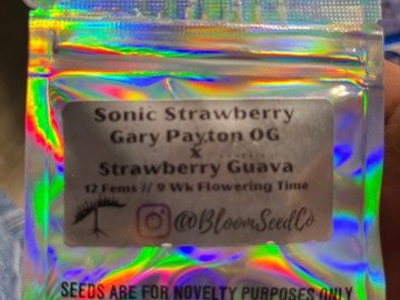 Vente: Bloom Seed Co.- Sonic Strawberry