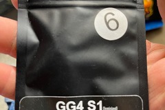 Sell: GG4 strains-GG4 s1