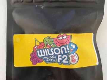 Vente: Wilson F2 by Masonic Seeds