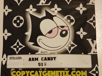 Vente: Arm Candy S1 Copycat Genetix ORIGINAL FEMS