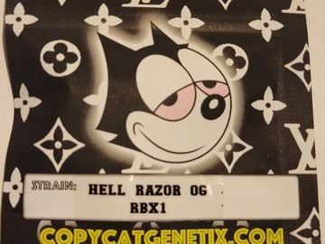 Vente: Hell Razor OG RBX1 Copycat Genetix ORIGINAL FEMS