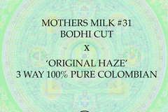 Sell: Mothers Milk #31 Bodhi Cut x Original Haze Pure Colombian