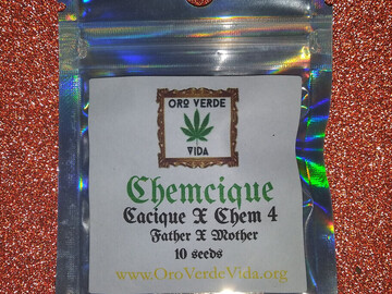 Vente: Chemcique - (Cacique x Chem 4) 10+ seeds