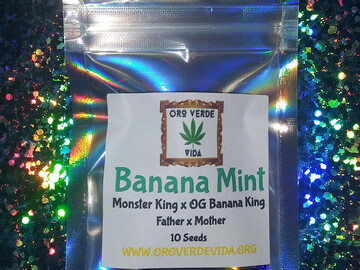 Vente: Banana Mint - (Monster King x OG Banana King)