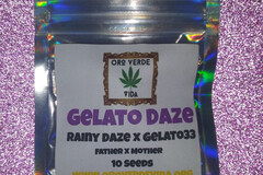 Sell: Gelato Daze - (Rainy Daze x Gelato 33) 10 seeds