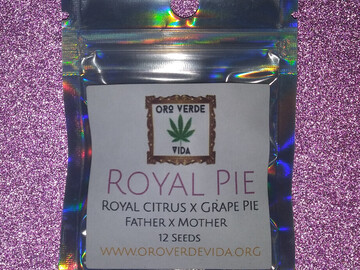 Venta: Royal Pie - (Royal Citrus x Grape Pie)
