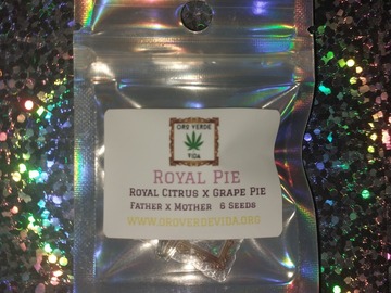 Sell: Royal Pie - (Royal Citrus x Grape Pie) 6 seeds