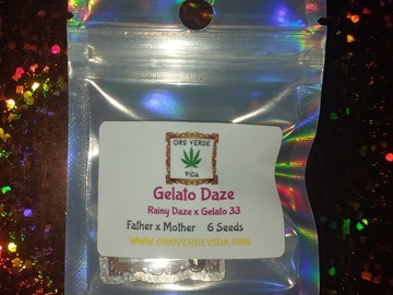Venta: Gelato Daze - (Rainy Daze x Gelato 33) 6 seeds