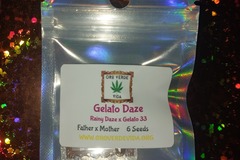 Sell: Gelato Daze - (Rainy Daze x Gelato 33) 6 seeds