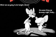 Sell: pinky and the brain
