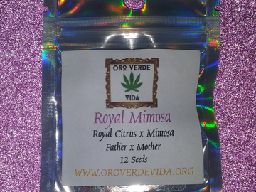 Vente: Royal Mimosa - (Royal Citrus x Mimosa)