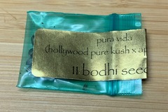 Vente: *RARE AF* Bodhi Seeds - Pura Vida (1 Pack)