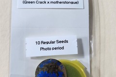 Sell: Mothers Secret F2 ~ Green Crack X Mothers Tounge Adhesive